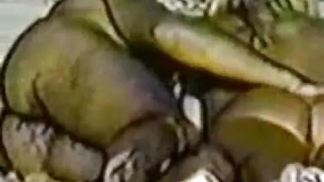 Le corps chaud de la petite fille est tout très chaud, car elle a meilleur film anal tellement envie de sexe, et il n'y a pas une seule vraie bite à proximité, alors la chienne doit se branler